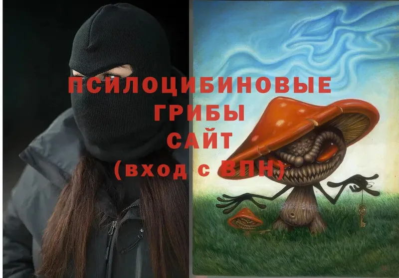 Галлюциногенные грибы MAGIC MUSHROOMS  MEGA вход  Ржев  купить закладку 